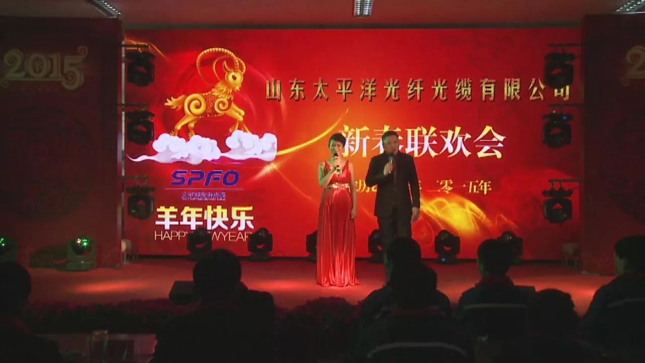 2015 Spring Festival Gala