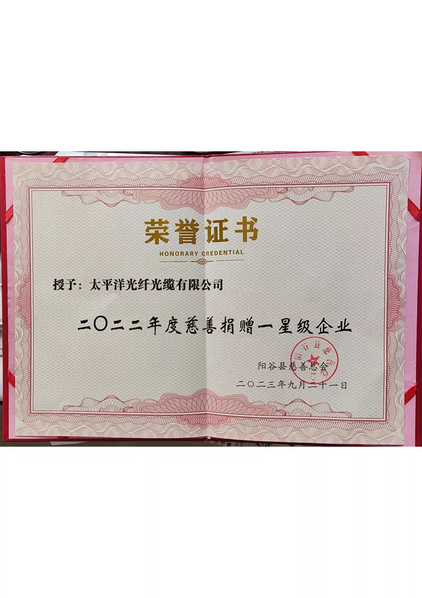 2022 Charity Donation One Star Enterprise