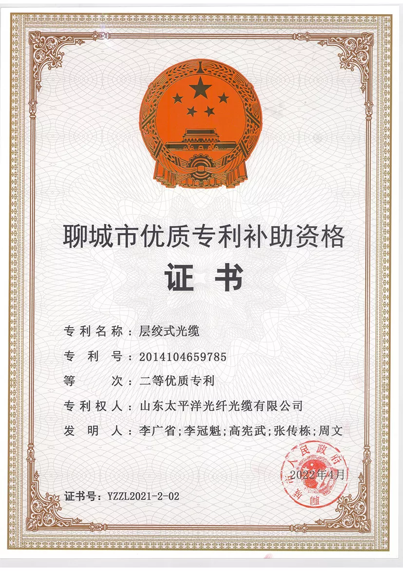 Liaocheng City Quality Patent Subsidy Qualification Certificate