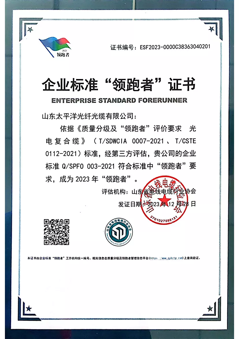 Enterprise Standard "Leader" Certificate