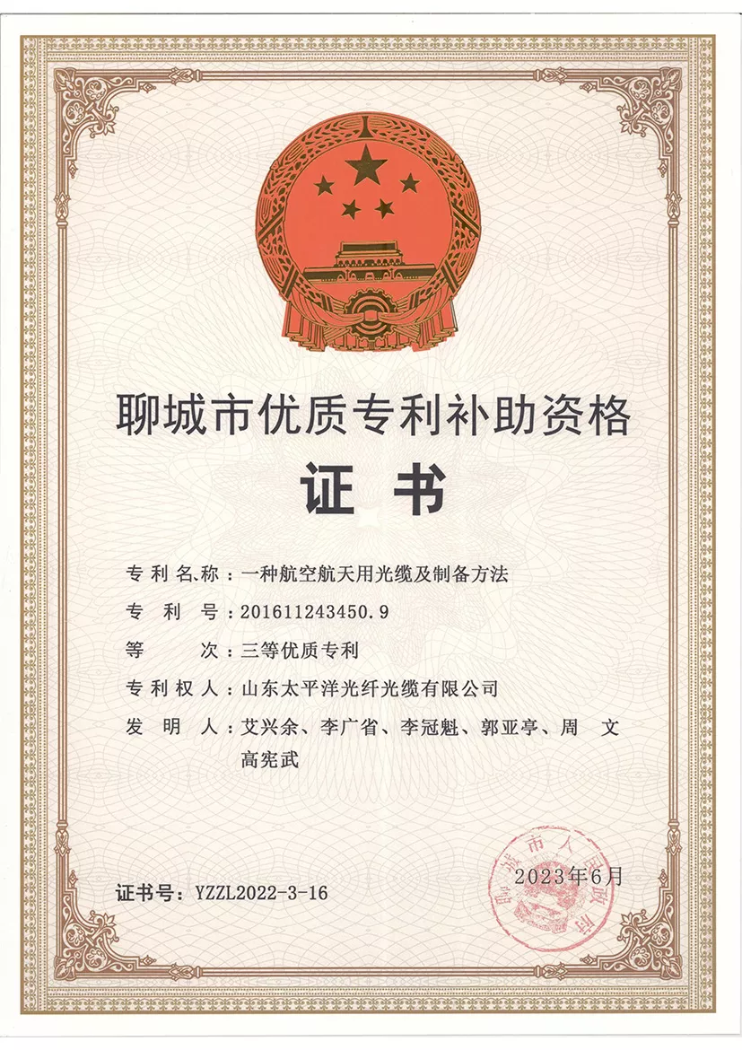 Liaocheng City Quality Patent Subsidy Qualification Certificate