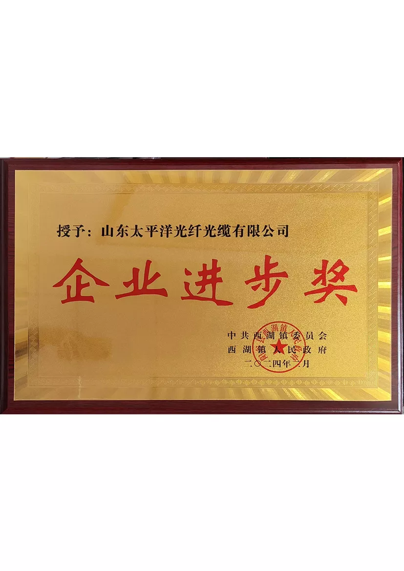 Congratulations to the company for being awarded the Enterprise Progress Award. Honorary medals, if needed, please save them