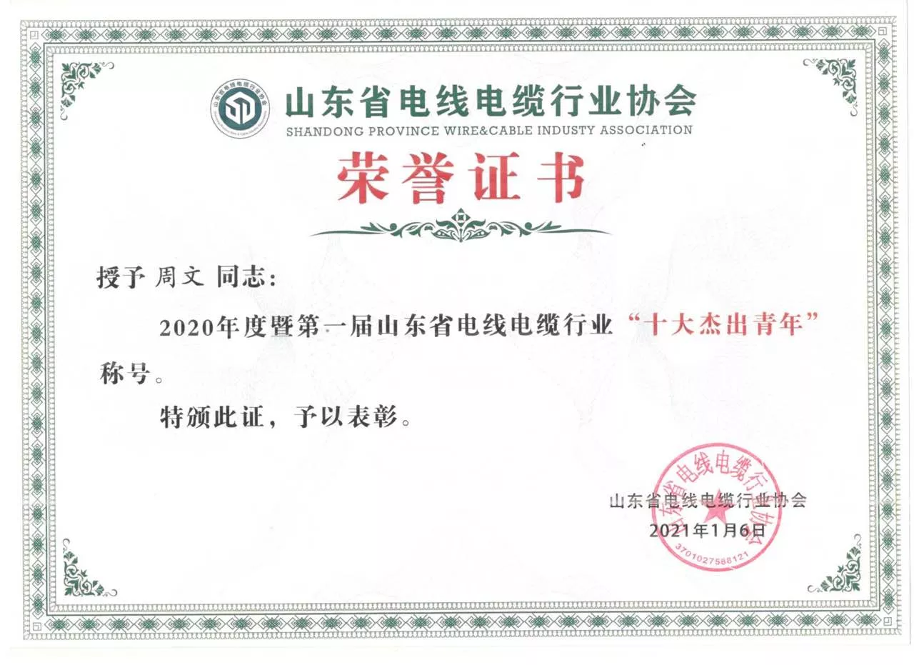 Top Ten Outstanding Youth in the Cable Industry of Shandong Province in 2020