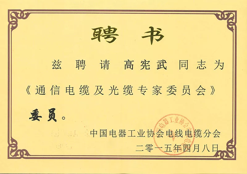 Member of the Expert Committee on Communication Cables and Optical Cables