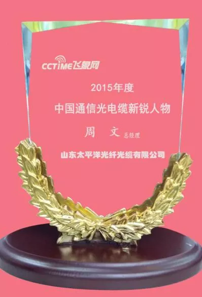 Emerging figures in China's communication optical cable industry